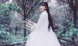 李子柒,李子柒的东方生活美学