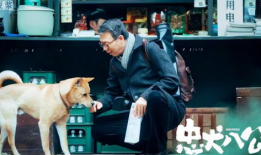 忠犬八公电影,永恒的守护与等待