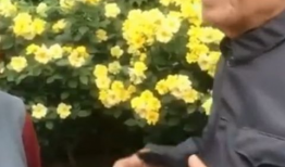 91岁老爷爷直播间视频,岁月流转，智慧依旧闪耀