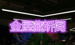 金屋藏娇直播大厅91区,揭秘网红聚集地的魅力与秘密