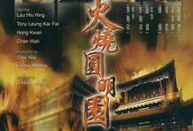 电影火烧圆明园,圆明园的悲壮毁灭