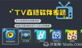 91看电视直播apk手机版,畅享海量直播资源，尽在掌握