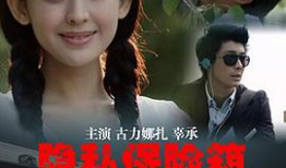 伦理电影播放,伦理电影深度解析