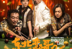 二哥电影,揭秘兄弟情深背后的热血传奇