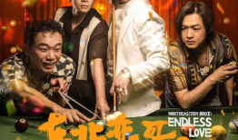 二哥电影,揭秘兄弟情深背后的热血传奇