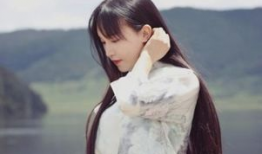 李子柒,李子柒的东方生活美学