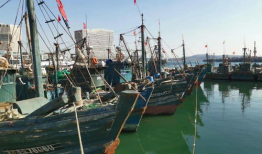 电影码头,岁月沉浮的港口传奇