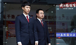 检察官电影,正义的守护者