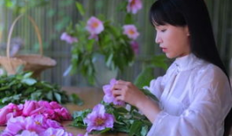 李子柒,李子柒的东方生活美学